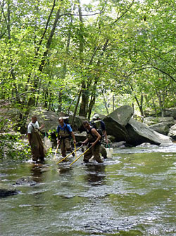 Volunteers from Nutmeg TU 217 join DEEP volunteers to monitor the fish population in the Mill River. Volunteers from Nutmeg TU 217 join DEEP volunteers to monitor the fish population in the Mill River.