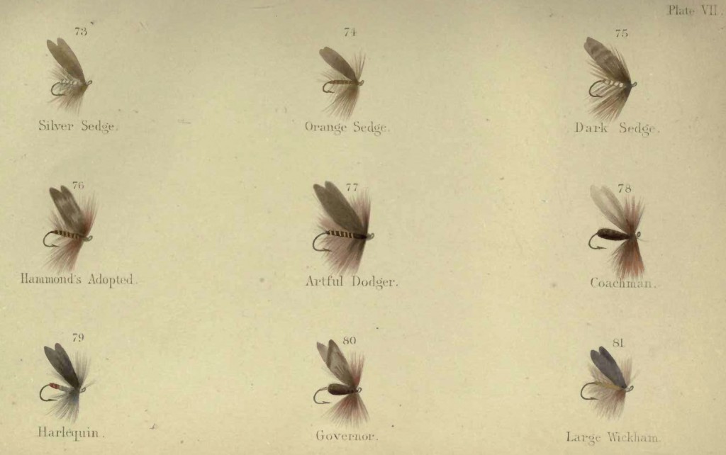 Plate VII from Frederick Halford's "Floating Flies and How To Dress Them" (1889)