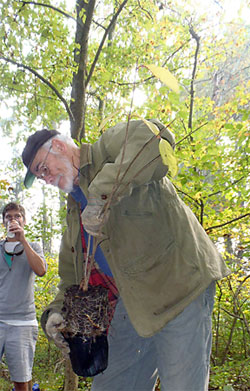 Tom Johnson helped restore native habitat to the Mill River Oct. 6.