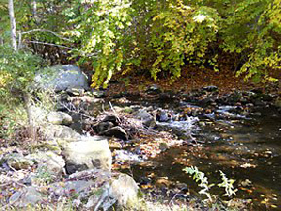 Easton officials are discussing what to do with the Prayer Center, which abuts the Mill River. (Easton Courier Photo)