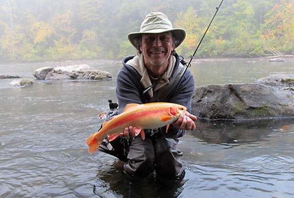 Ron Merly with an 18 and one-half inch palomino trout recently caught and released in one of Connecticut's beautiful streams. Perfect Autumn colors!!