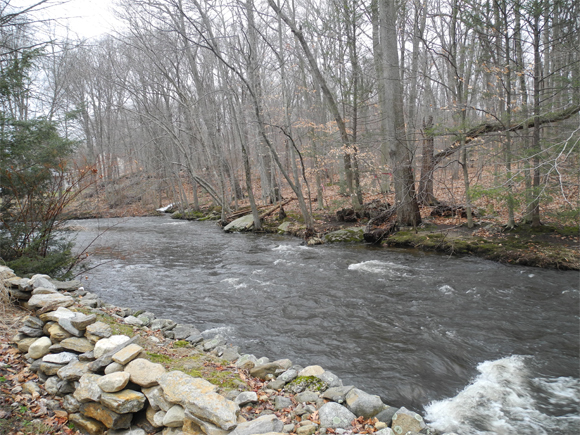 Joanne Owens, who lives along the Pequonnock and across from the Mallett property is one of many residents who live near the 10-acre property and are concerned about the potential impact of a plan to build 15 single-family homes. Trumbull Times - Kate Czaplinski photo