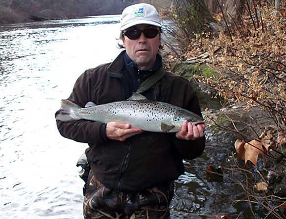 Ron Merly, holding a nice Atlantic salmon from the Naugatuck River, says, “Do not let the state take this fishery from us!”